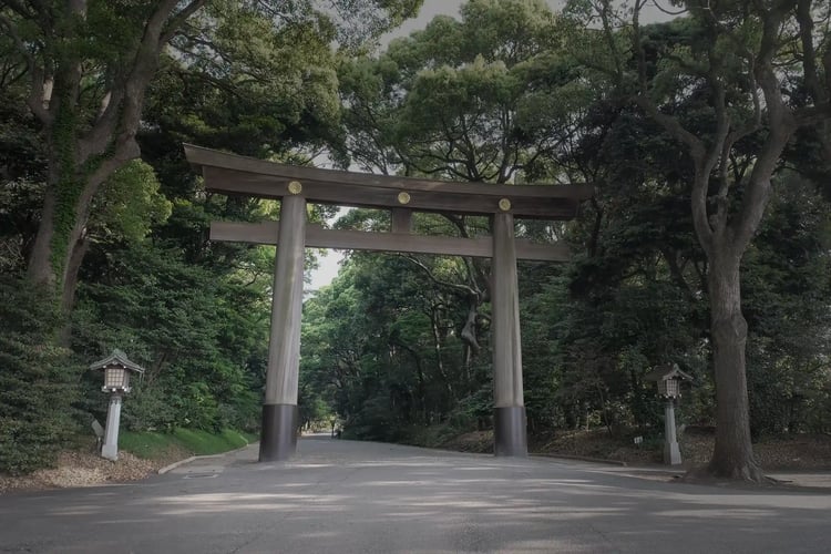 Meiji Jingu Shrine_s Ichino Torii (First Torii Gate)