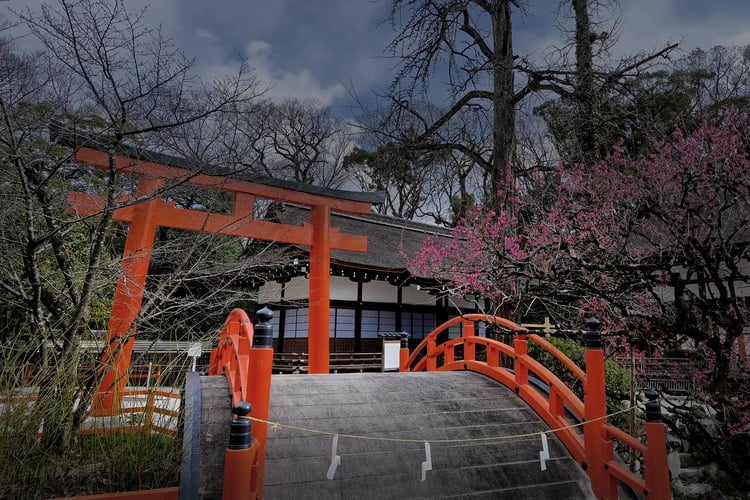 Korin_s Plum Tree at Shimogamo Shrine