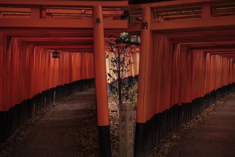 Rainy Fushimi Inari Taisha Shrine, Kyoto Prefecture