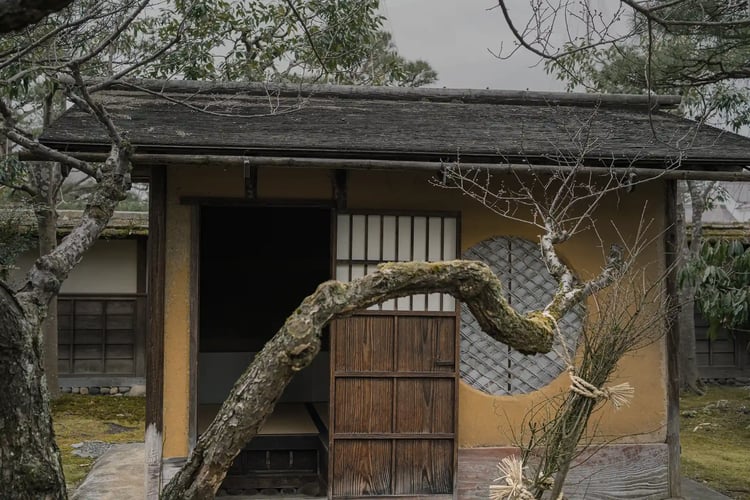 In a Certain Teahouse
