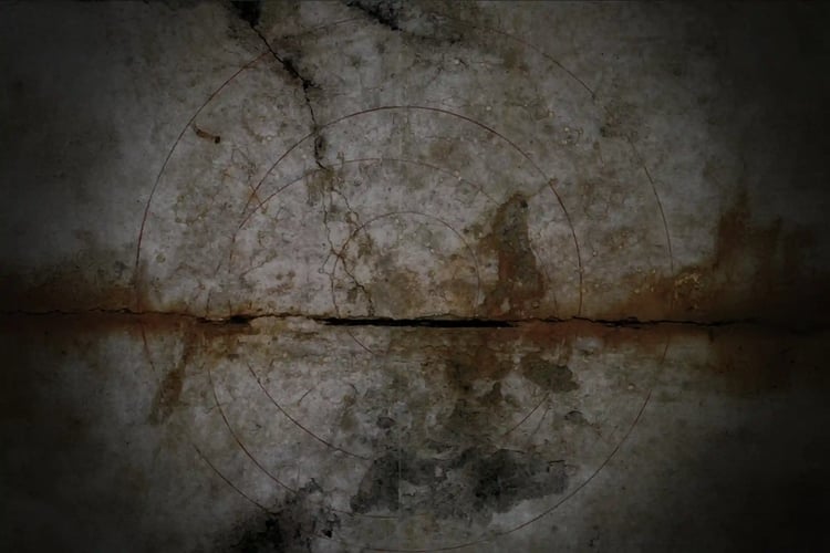 The detailed astronomical map painted in the Kitora Tumulus
