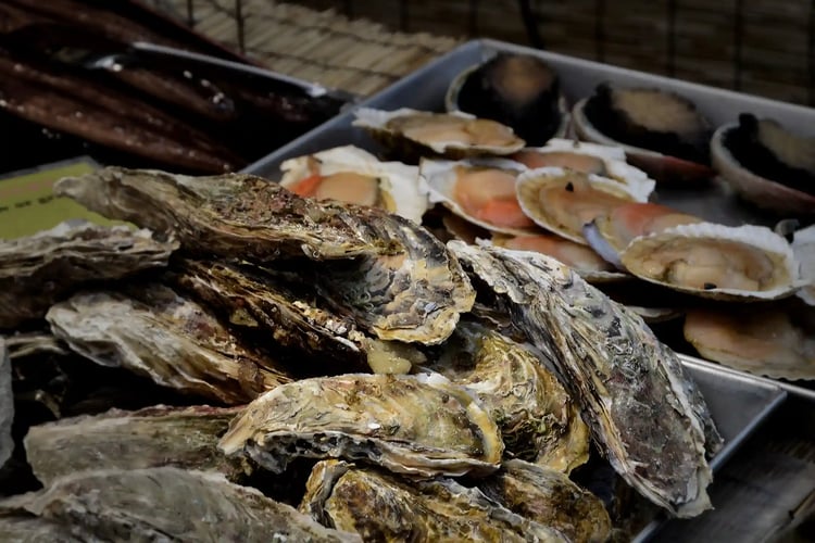 Raw oysters