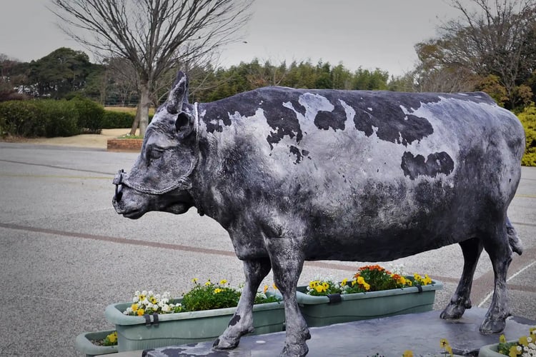 Matsusaka beef statue