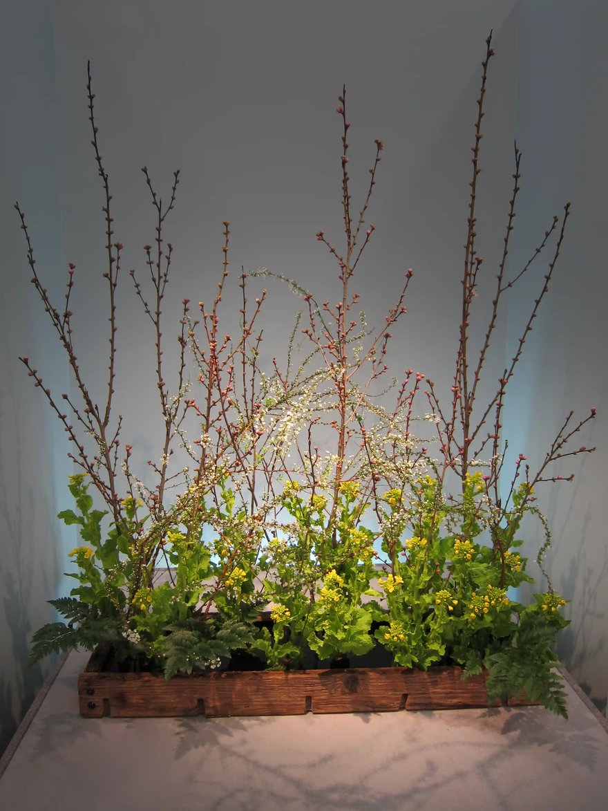 Ikebana_Japanese_flower_arrangement_52,_Ikebana