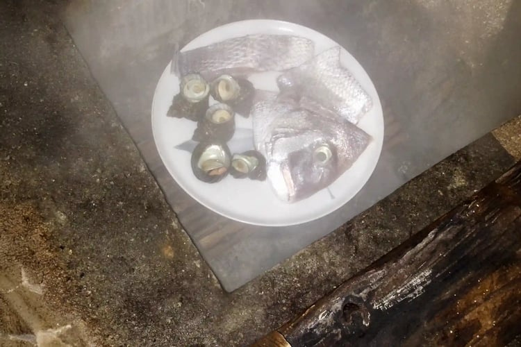 Steamed Cooking D