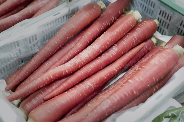 Traditional Kyoto Carrot