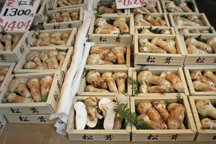 Matsutake Mushroom Section