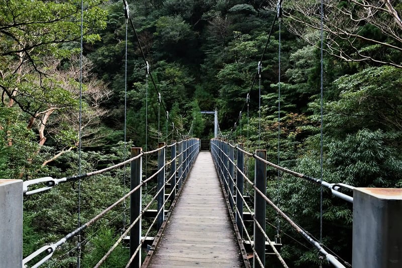 The old bridge in Shiratani Unsuikyo Gorge