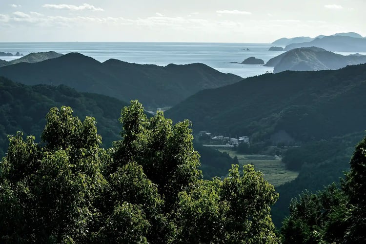 A Panoramic View of Kii-Nagashima Bay from Nisaka Pass, Kumano Kodo