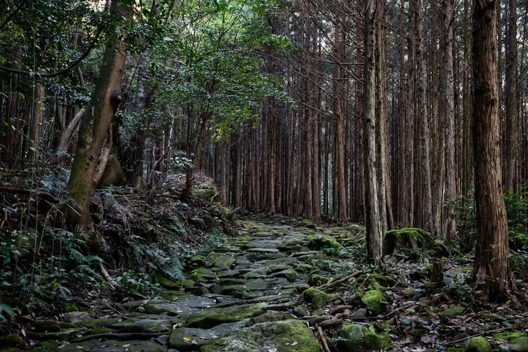Magose Pass on the Iseji Route of the Kumano Kodo, part of the UNESCO World Heritage site Sacred Sites and Pilgrimage Routes in the Kii Mountain Range