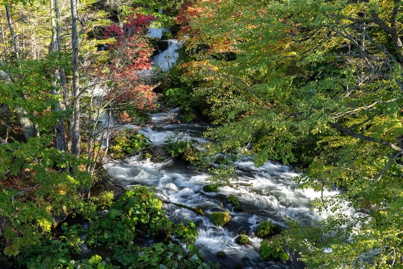 A Clear Stream and Autumn Colors
