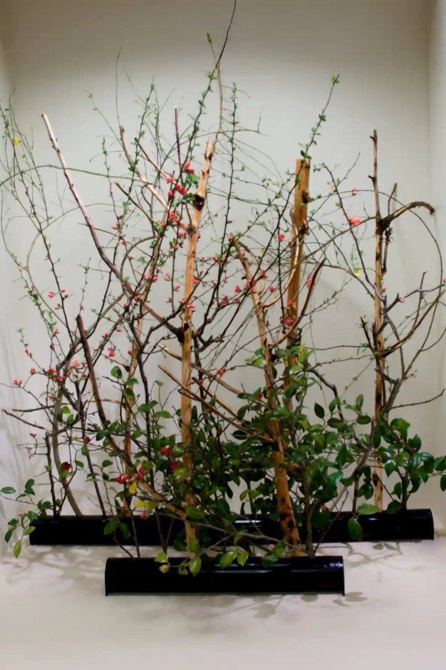 Ikebana_DSC_9515_(13032294484)