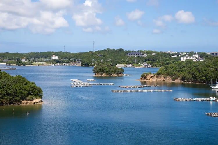 The sawtooth coastline of Ise-shima