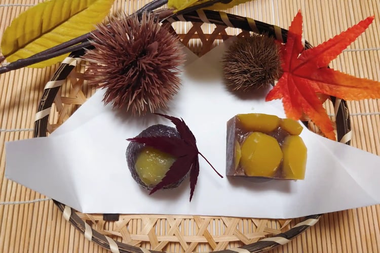 Autumn Wagashi Steamed Kintsuba and Yokan with Chestnuts