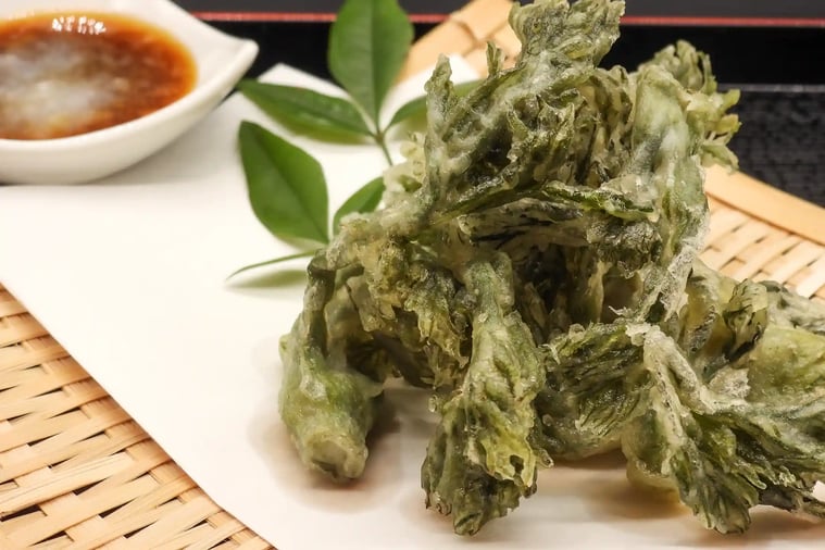 Spring is here! Angelica Tree Shoot Tempura