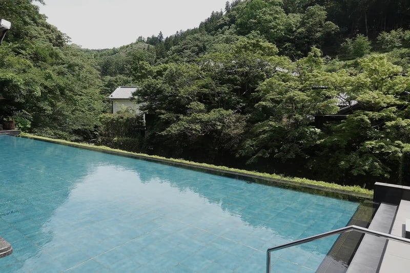 Fresh greenery at Yoshina Onsen Footbath and Café