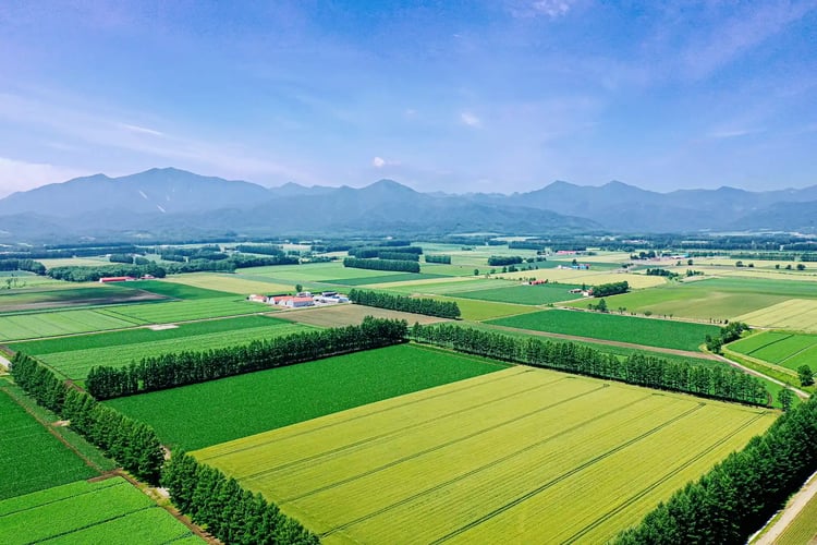 Aerial shot of Tokachi