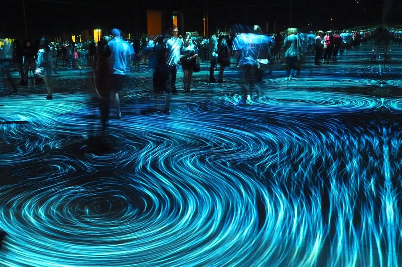 teamLab An interdisciplinary art collective