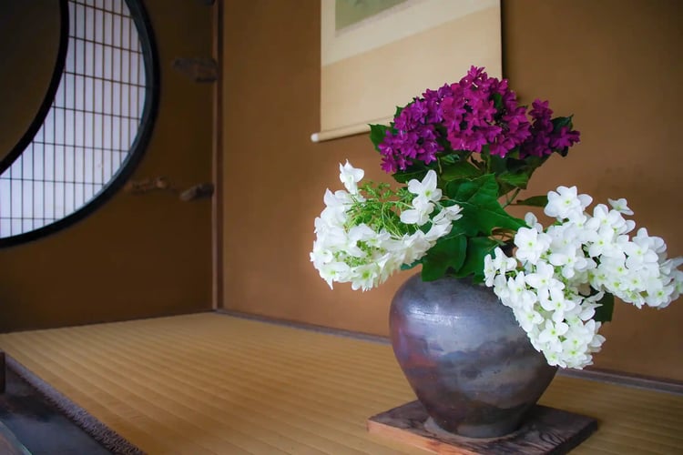 Hydrangeas displayed in the tokonoma