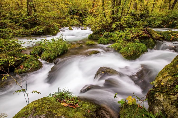 Scenery of Oirase Gorge, Aomori