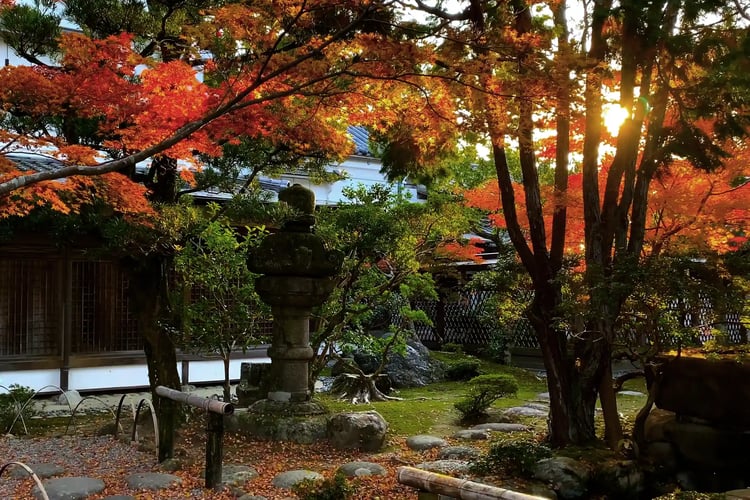The Roji (The Traditional Tea Garden Pathway)
