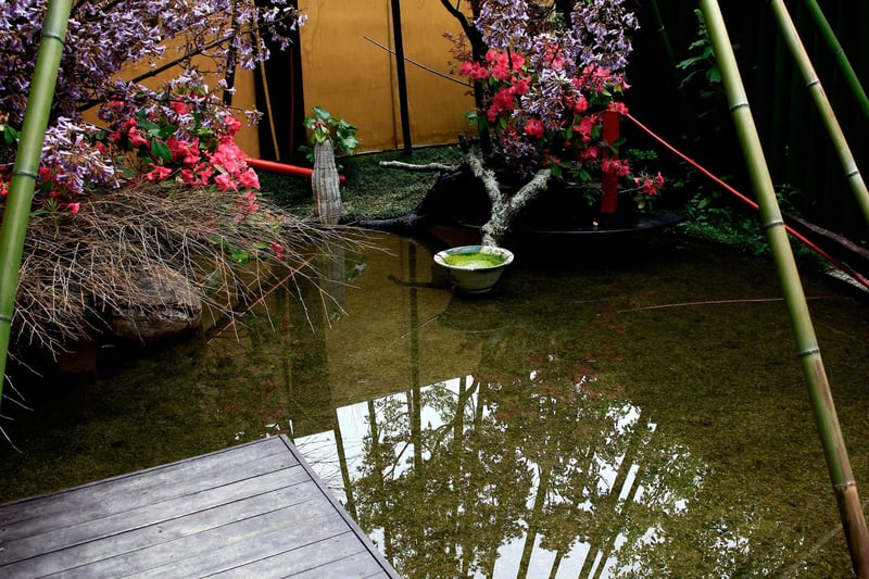 A serene Japanese garden