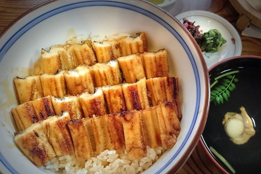 A bowl of anago-meshi, grilled conger eel over rice
