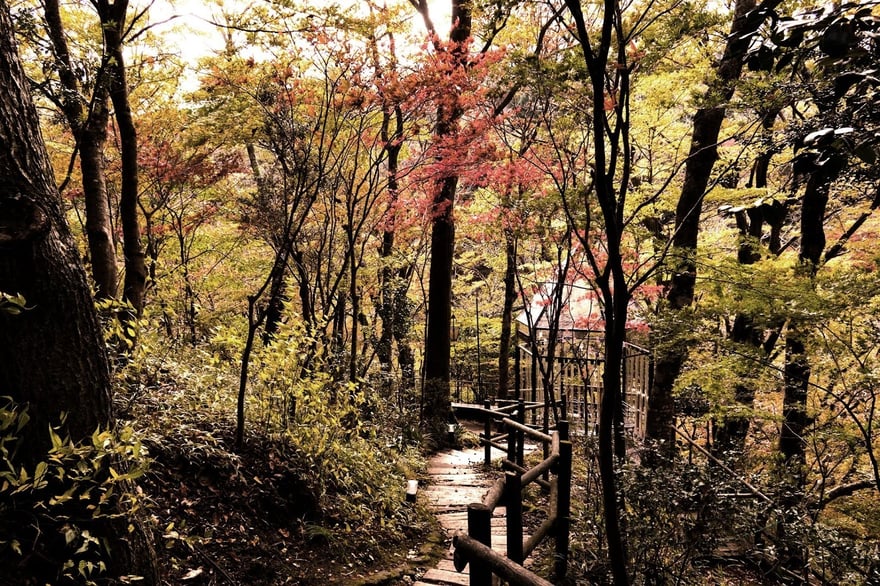 undefined-Feb-23-2026-09-52-32-2453-AM