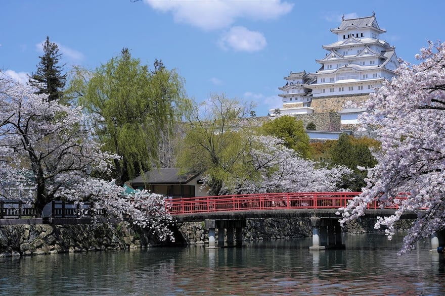 undefined-Feb-24-2026-02-07-10-1736-PM