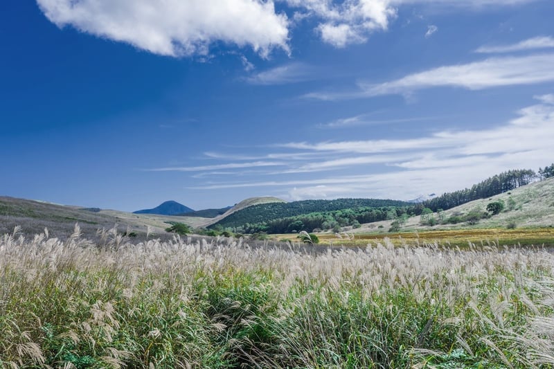 undefined-Jan-31-2026-03-08-12-0068-PM