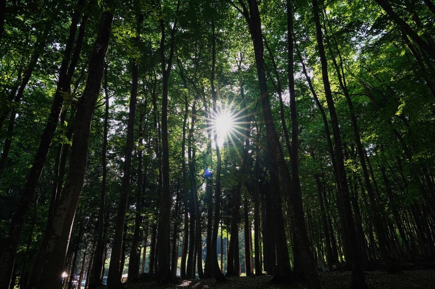 undefined-Oct-21-2025-01-47-45-9127-PM