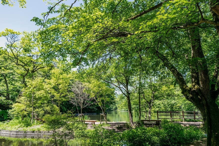 undefined-Oct-21-2025-02-26-46-2936-PM