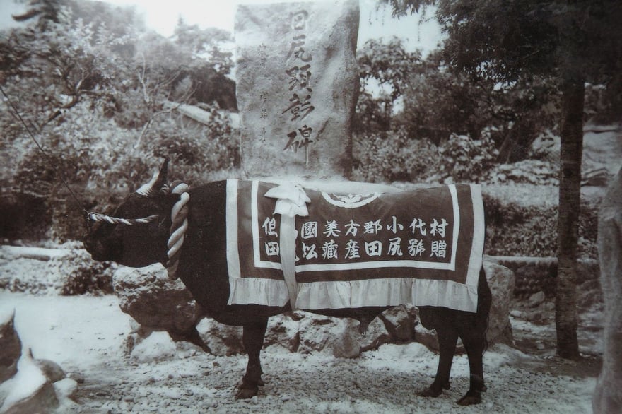 undefined-Oct-22-2025-02-42-58-0765-PM