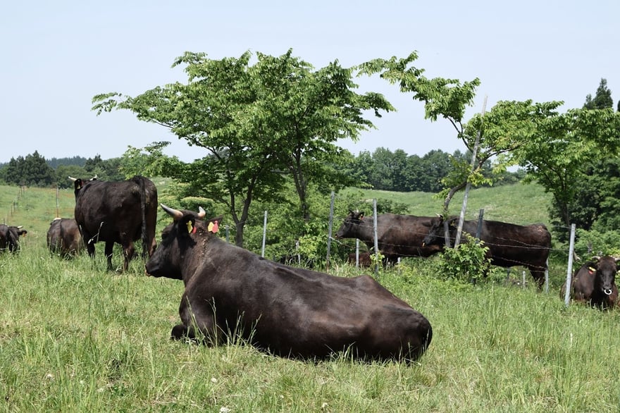 undefined-Oct-22-2025-02-42-58-3440-PM