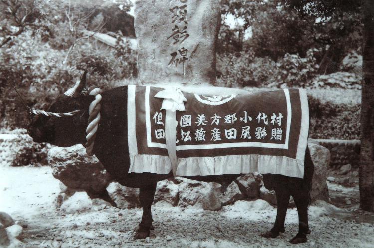 undefined-Sep-19-2025-01-03-35-4252-PM