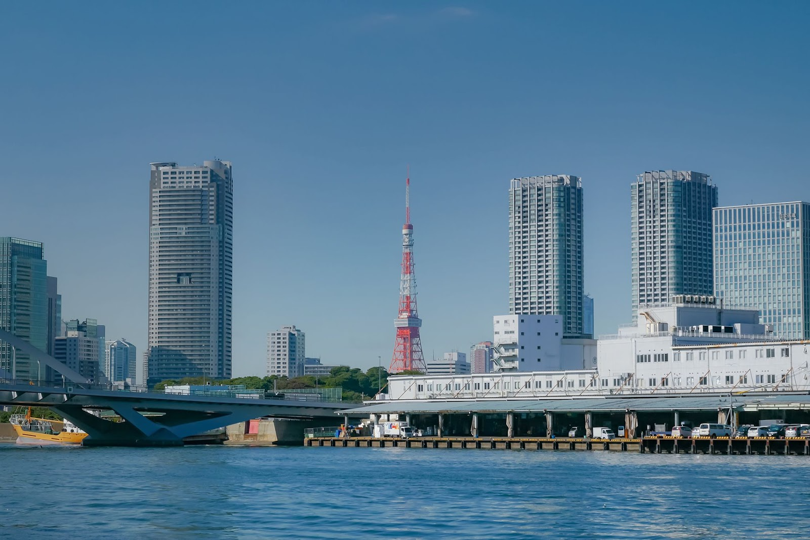 Bespoke Discovery | Tsukiji Fish Market Opening Hours: Best Times to ...