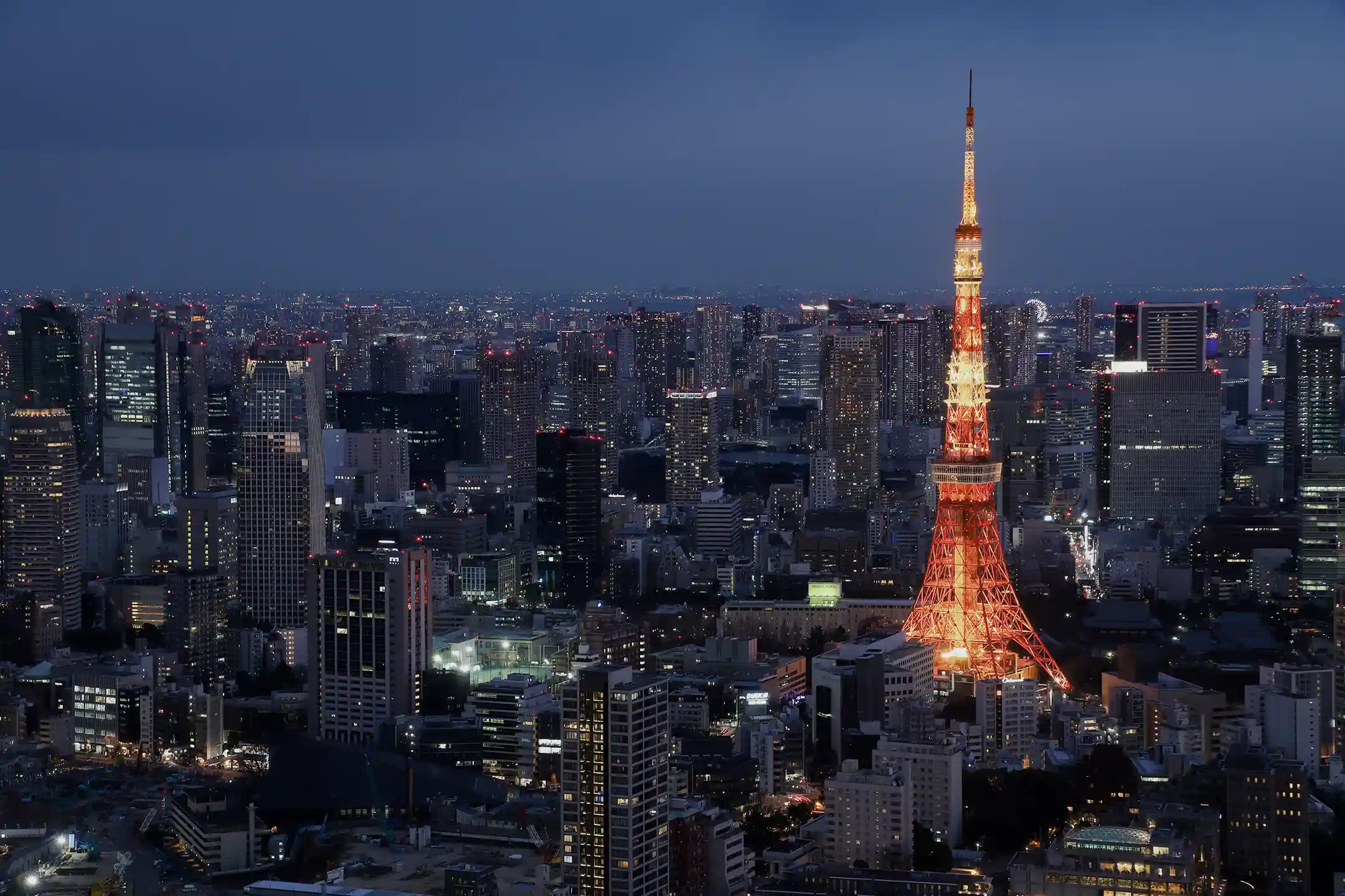Food Tours Tokyo | A Journey of Refinement and Culture Through Tokyo’s Culinary Landscape