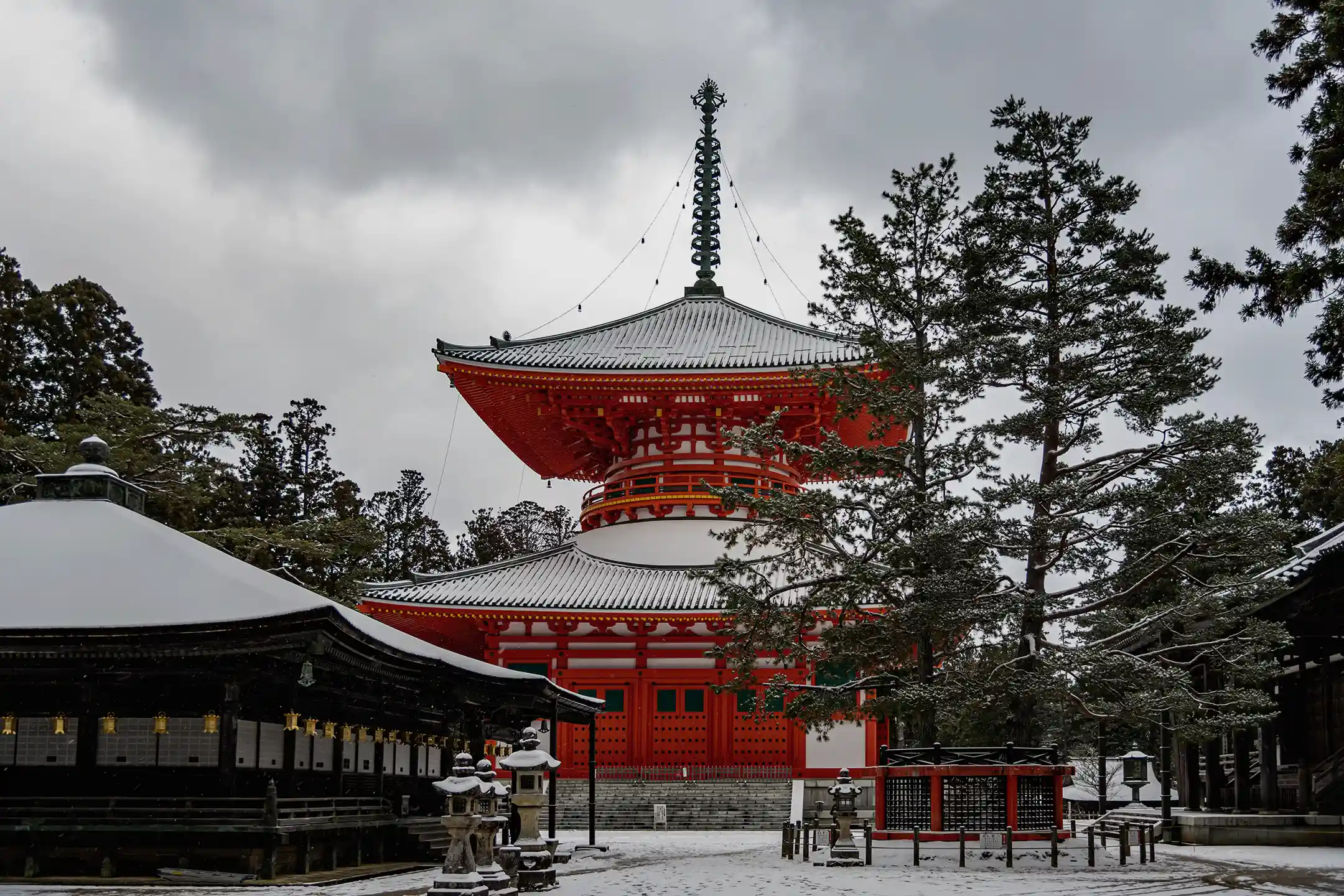 Experiencing Temple Lodging in Mount Koya: The Best Koyasan Temple Stay Where Culture and Spirituality Converge