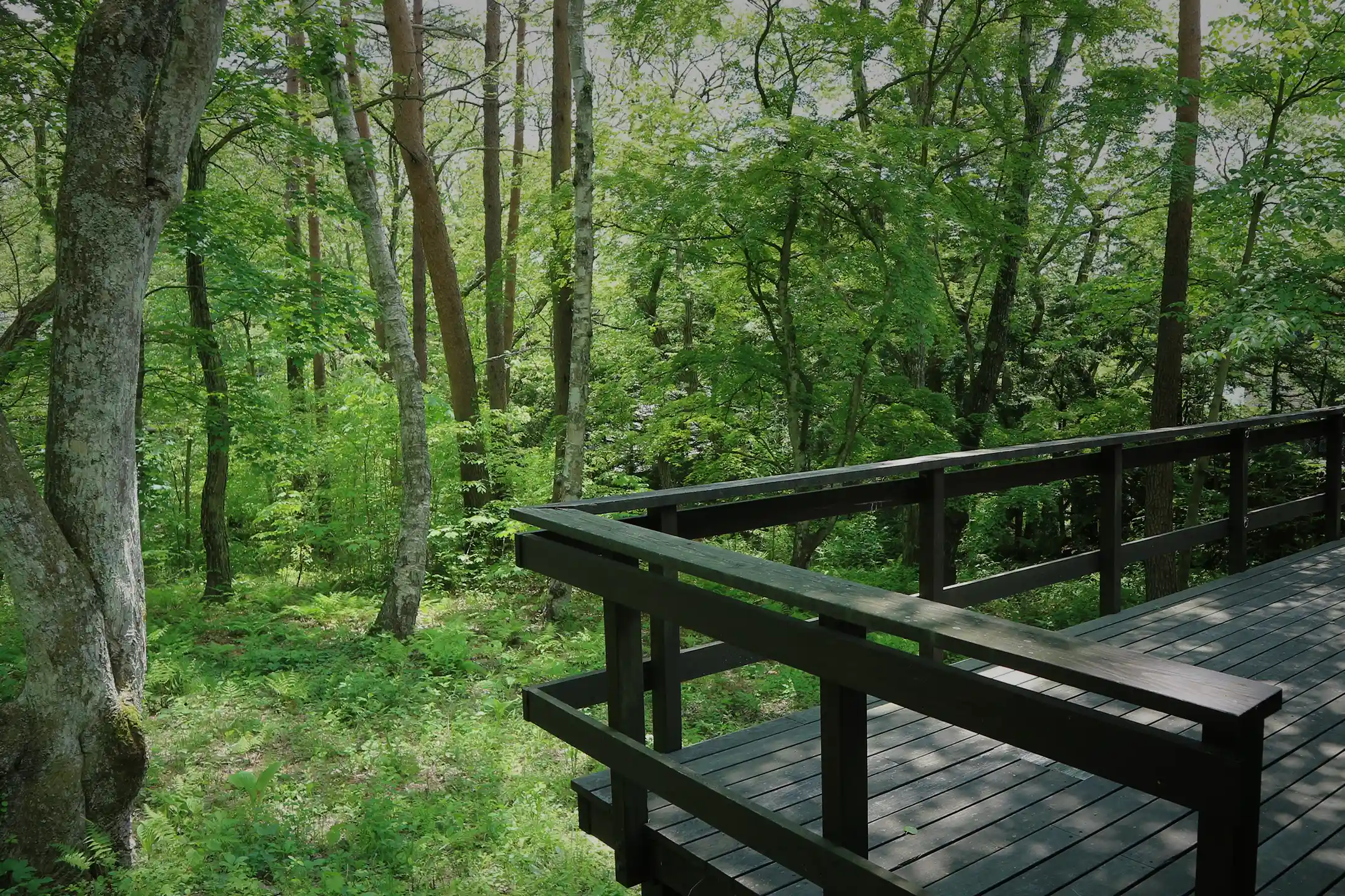 Hoshinoya Karuizawa | A Complete Guide to Luxury Hotels & Ryokan for Couples’ Anniversaries