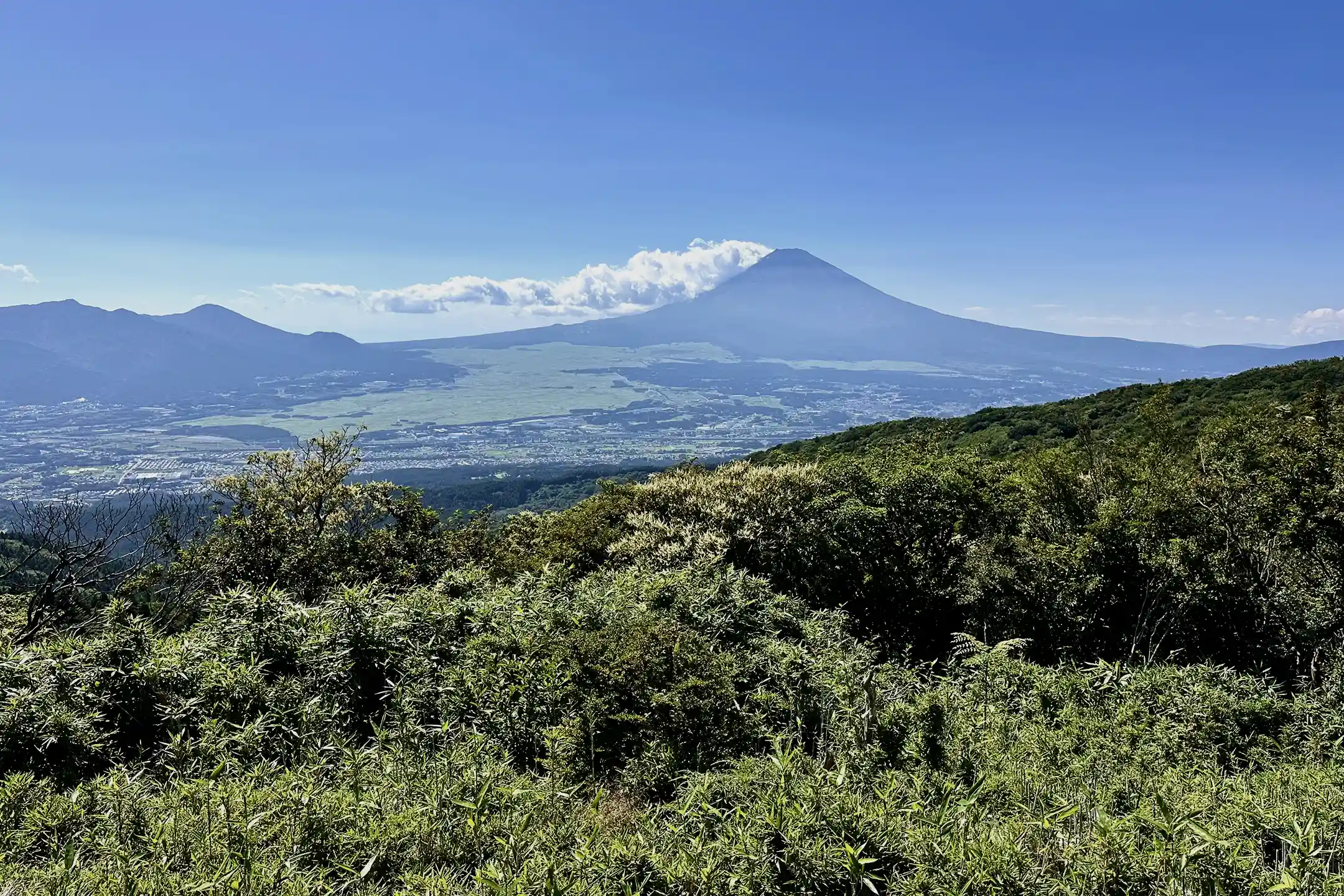A Sustainable Wellness Journey on the Hakone Loop──A Luxury Three‑Day Guide to Savor Hot Springs and the Great Outdoors
