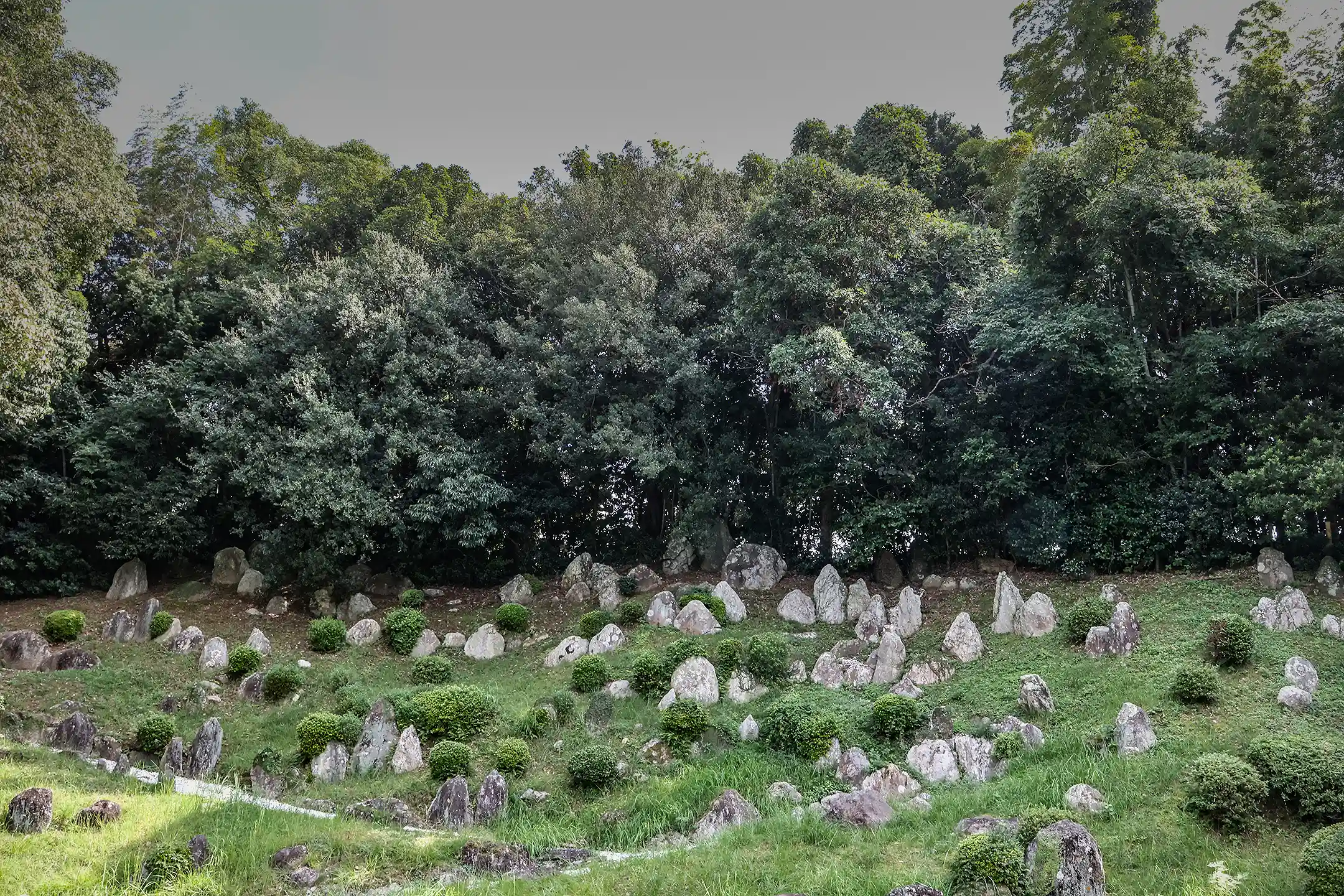 The Complete Guide to Japanese Art Tours: A Journey Where Tradition and Innovation Converge