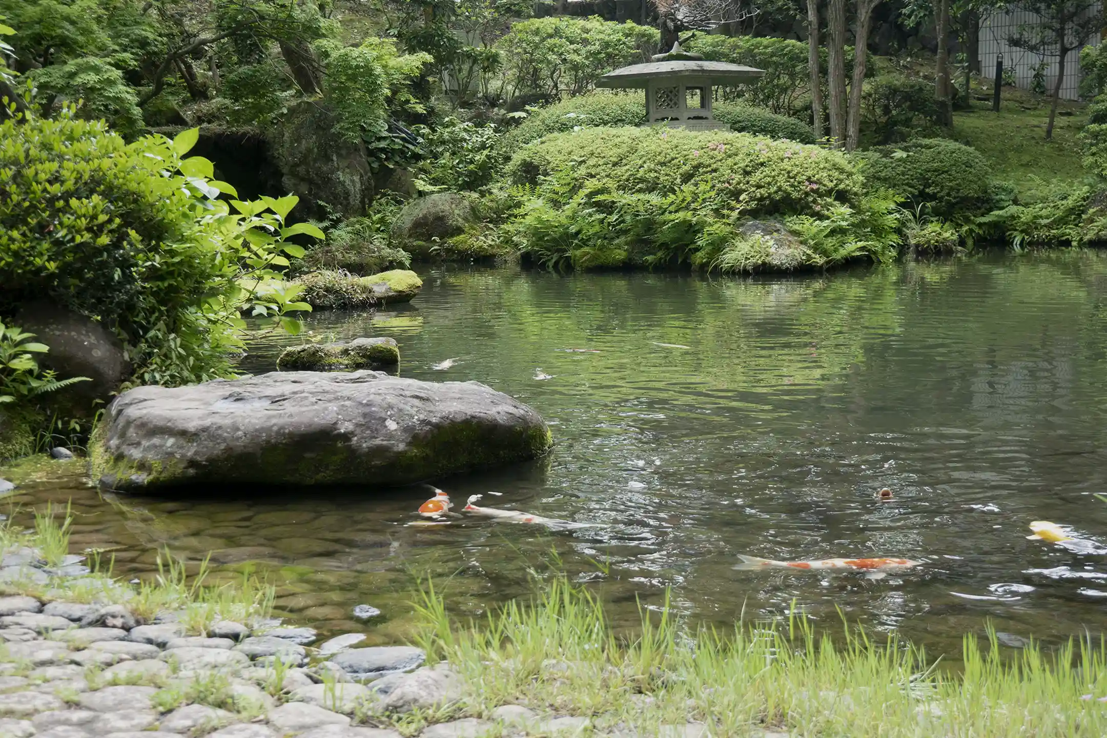 Japan’s Nature and Plant Culture | A Tapestry of Beauty Woven by History and Art