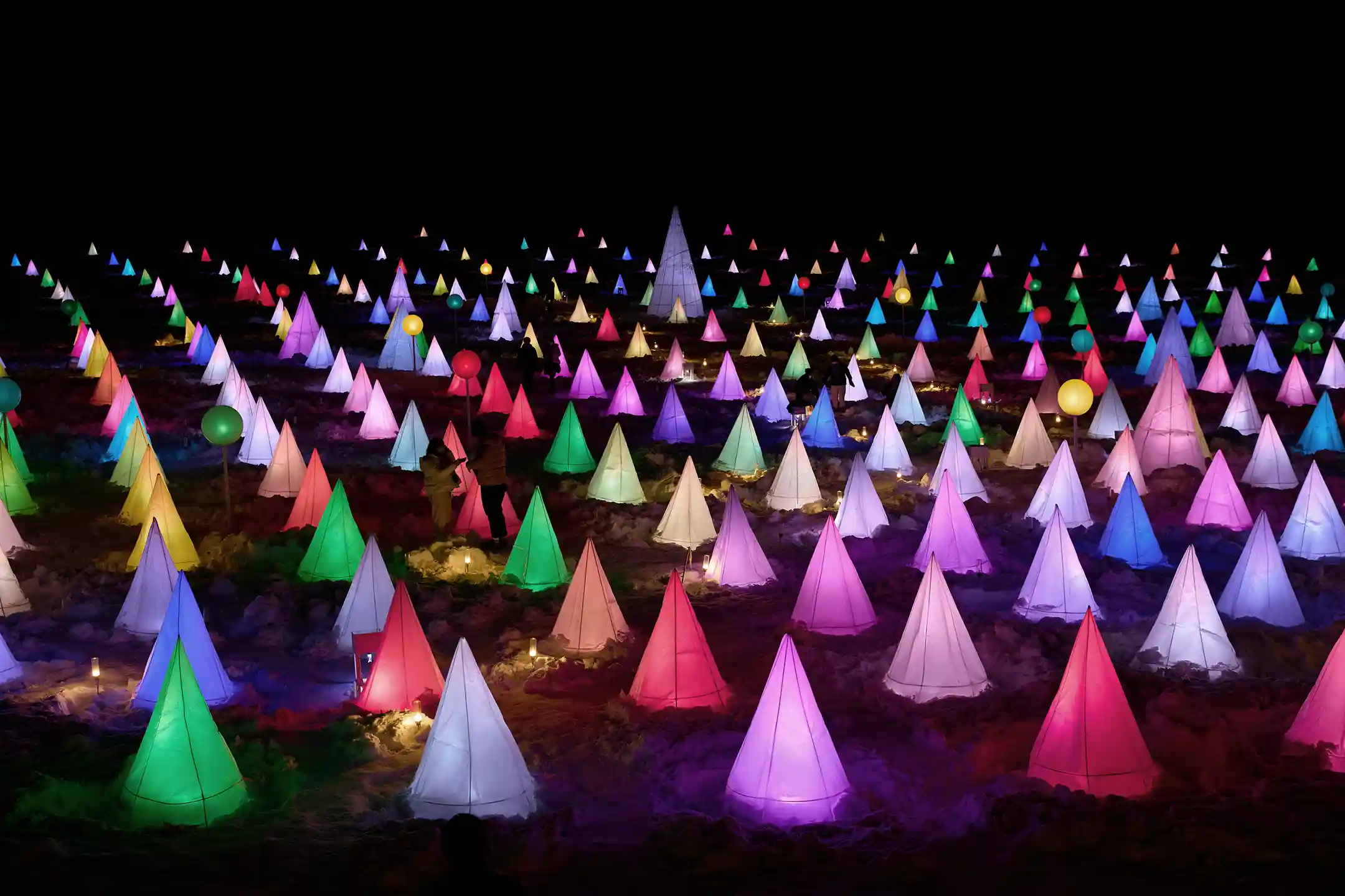 Guided Tours in Hokkaido—A Four-Season Journey of Wellness and Sustainable Luxury