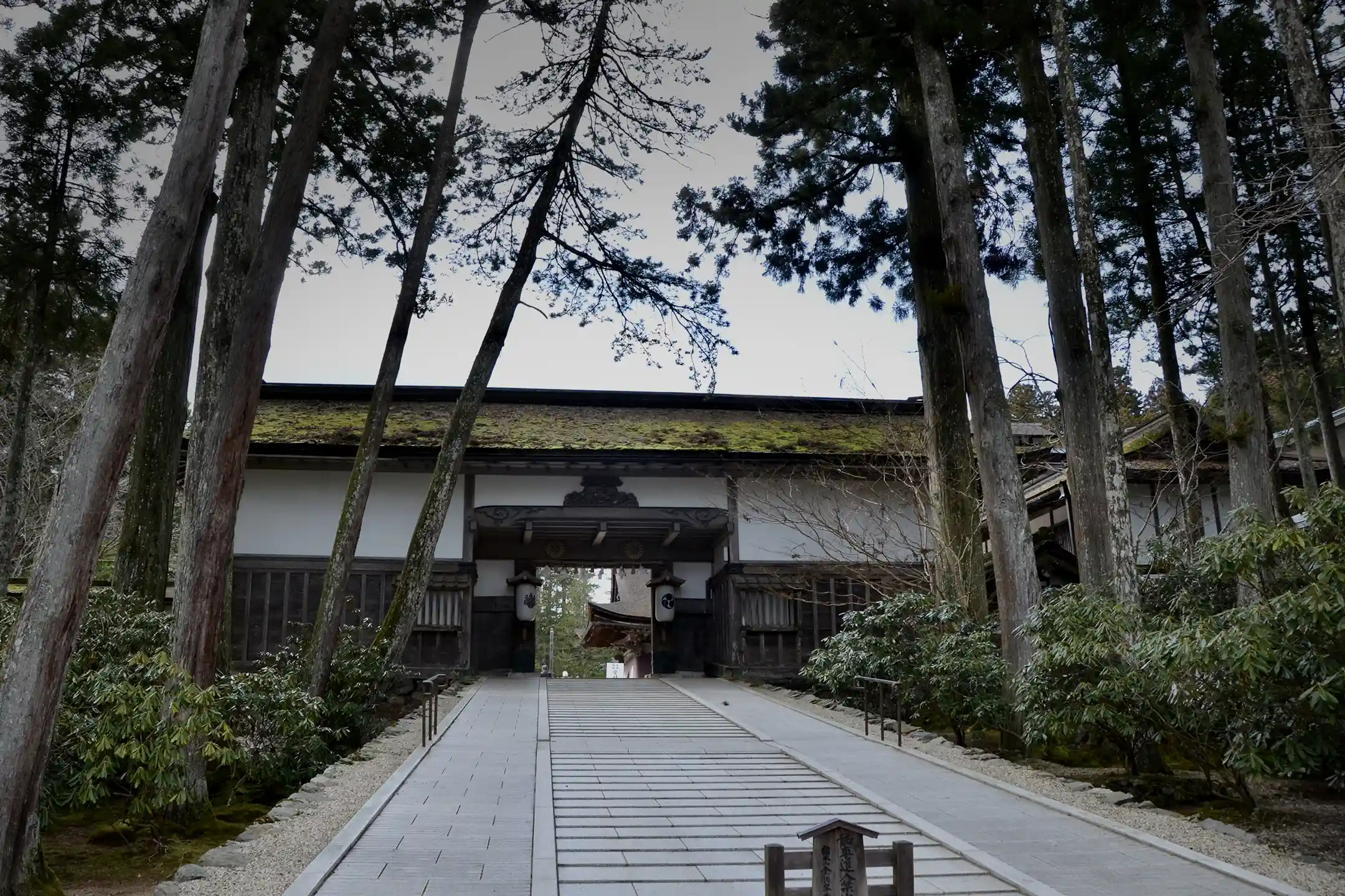 Koyasan Temple Lodging Experience (Mount Koya Temple Stay) | A Special Journey to Deepen Japanese Spiritual Culture