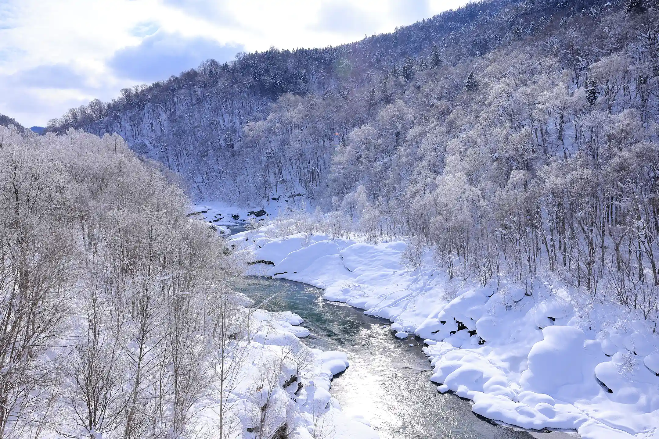 Complete Guide to Hokkaido Guide Tours｜Wellness‑First, Sustainable Hokkaido Vacation Packages