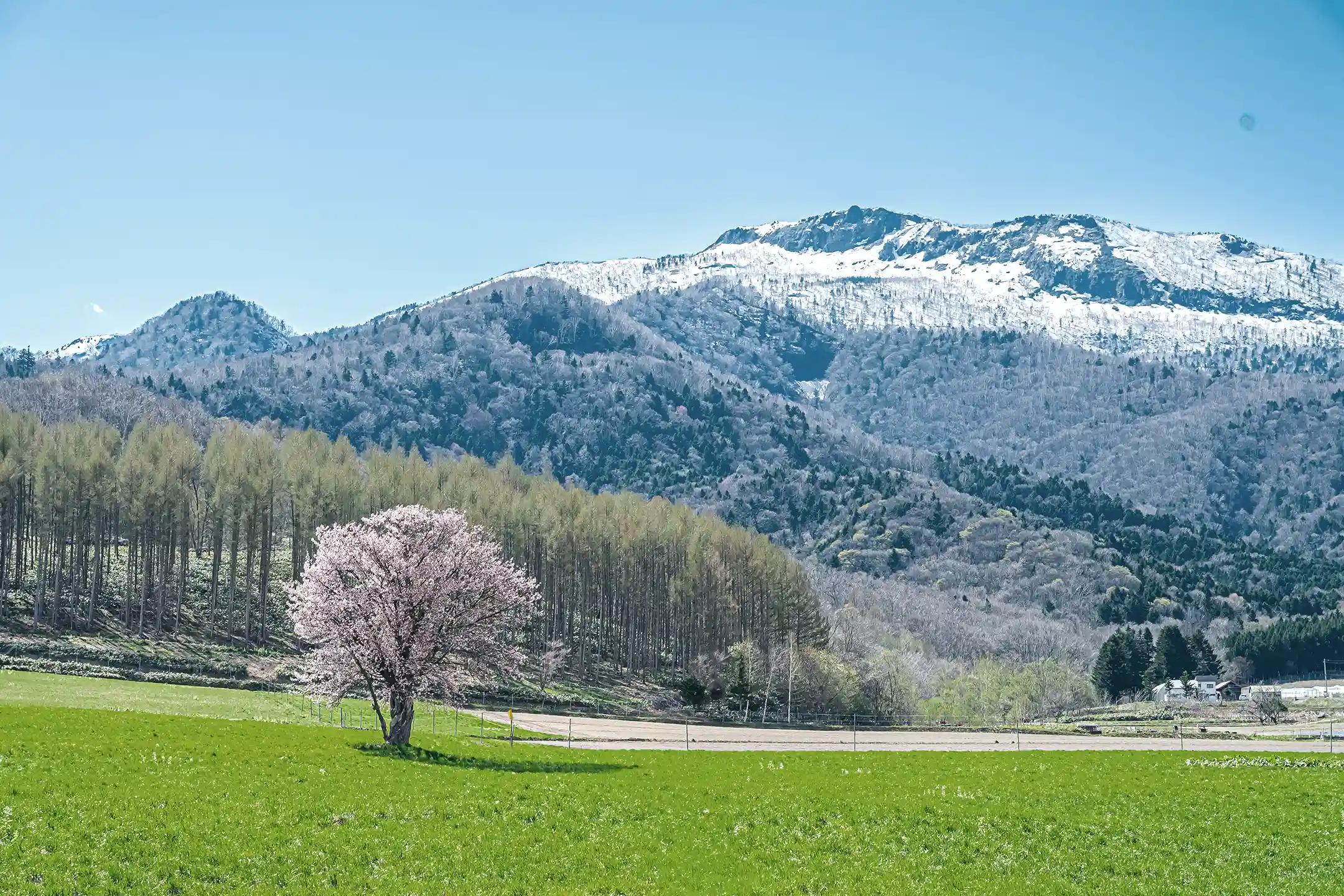 Complete Guide to Nature Tourism in Hokkaido｜From May to Summer: Elevated Wellness &amp; Sustainable Travel