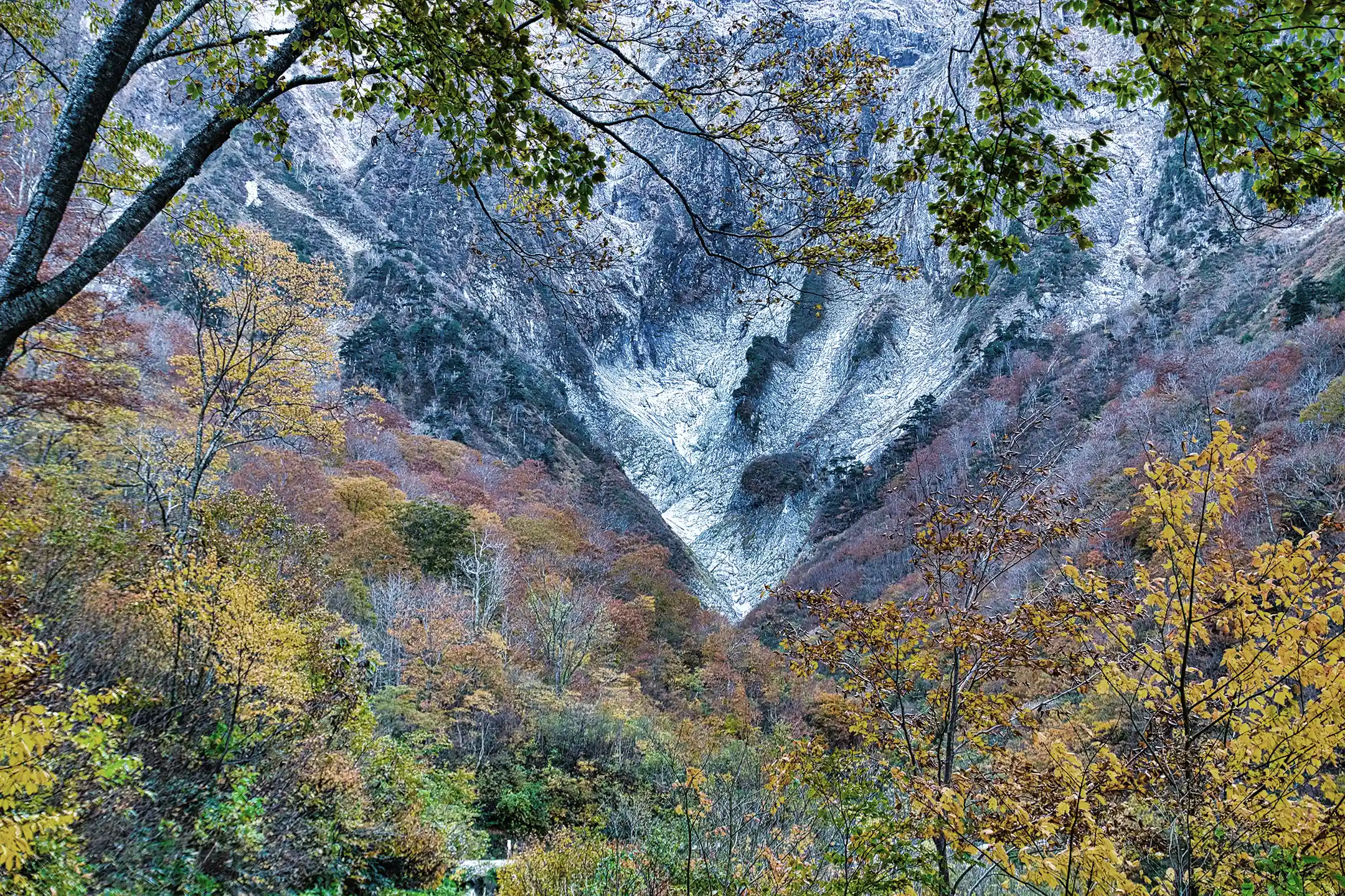 Kinseikan Seseragi (kinseikan seseragi) Tanigawa Onsen Guide｜Elevate Your Anniversary with Quiet Luxury