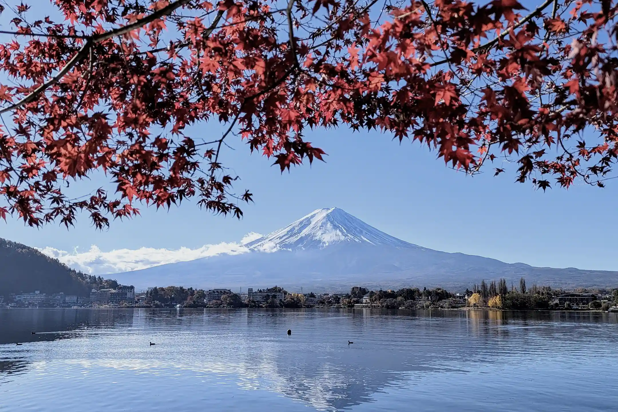 A Complete Guide to Choosing a Luxury Ryokan for Anniversaries｜A Grown‑Up Anniversary Stay, Made Real at Hoshinoya