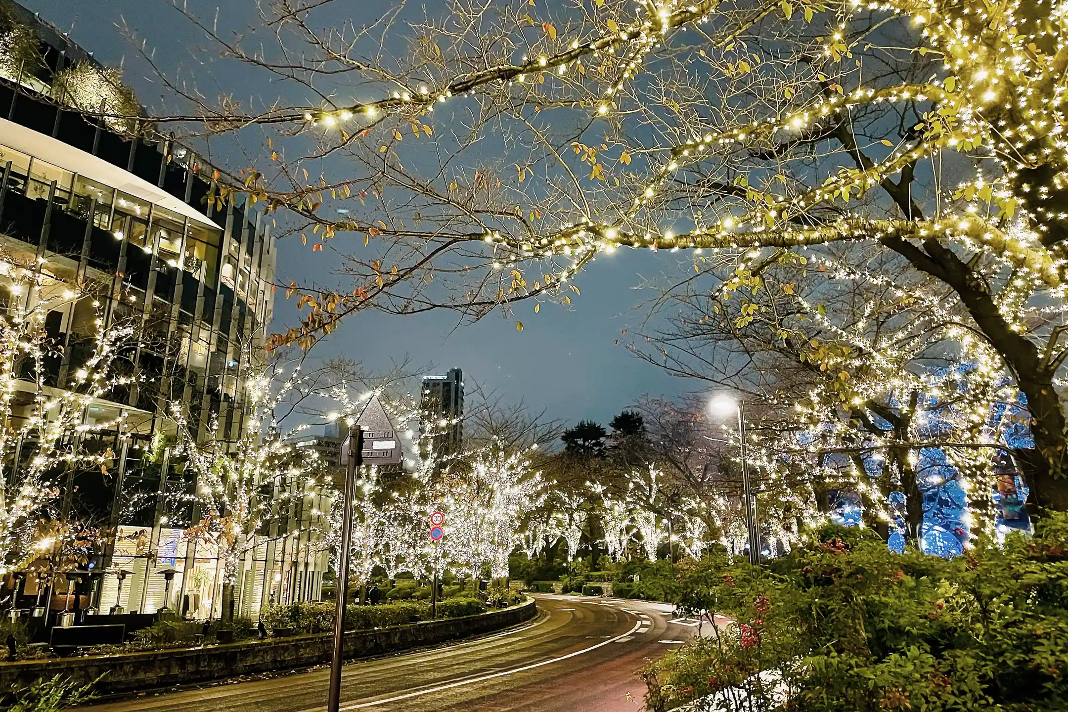 The Complete Guide to Tokyo Day Trips｜A Refined Blueprint for a Day Immersed in Culture, Architecture, and Art