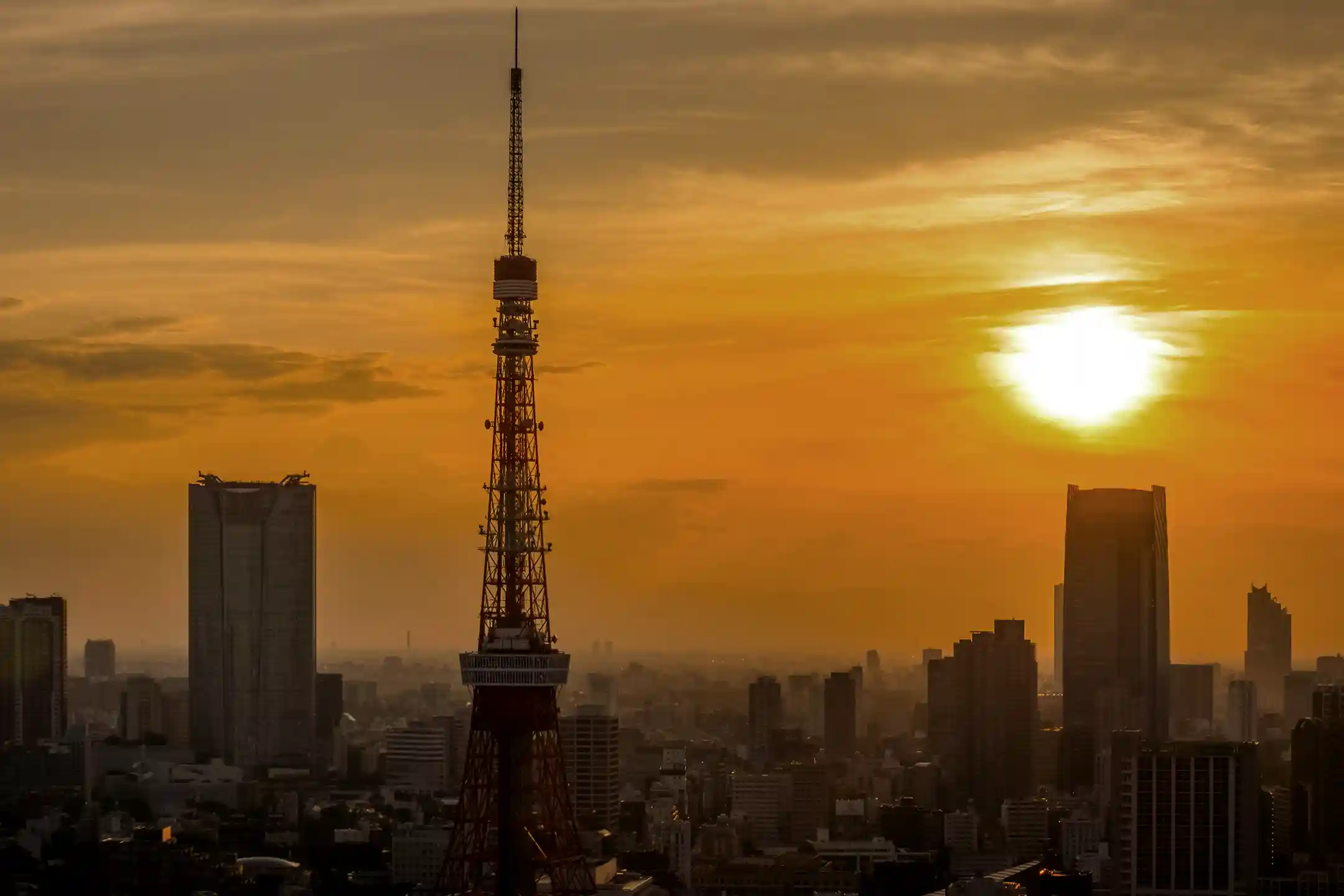 Complete Guide to Four Seasons Tokyo｜An Anniversary Stay Brought to Life